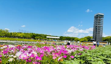 浜名湖花博2024に投稿された画像（2024/5/12）