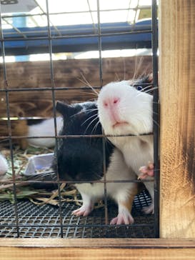 ネオパークオキナワに投稿された画像（2024/5/12）