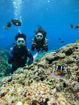 武藤潜水に投稿された画像（2024/5/12）