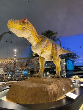 福井県立恐竜博物館に投稿された画像（2024/5/12）