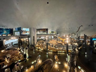 福井県立恐竜博物館に投稿された画像（2024/5/12）