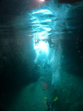 武藤潜水に投稿された画像（2024/5/12）