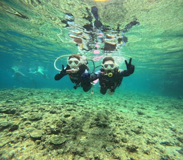 沖縄マリンサービス碧に投稿された画像（2024/5/12）