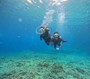 沖縄マリンサービス碧に投稿された画像（2024/5/12）