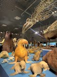 特別展「大哺乳類展３－わけてつなげて大行進」に投稿された画像（2024/5/12）