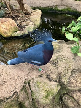 神戸どうぶつ王国に投稿された画像（2024/5/12）