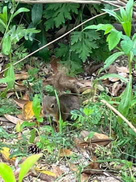 神戸どうぶつ王国に投稿された画像（2024/5/12）