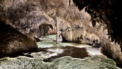 Great Nature Okinoerabuに投稿された画像（2024/5/12）