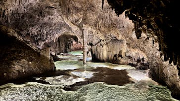 Great Nature Okinoerabuに投稿された画像（2024/5/12）