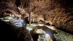 Great Nature Okinoerabuに投稿された画像（2024/5/12）