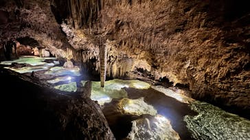 Great Nature Okinoerabuに投稿された画像（2024/5/12）