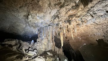 Great Nature Okinoerabuに投稿された画像（2024/5/12）