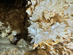 Great Nature Okinoerabuに投稿された画像（2024/5/12）