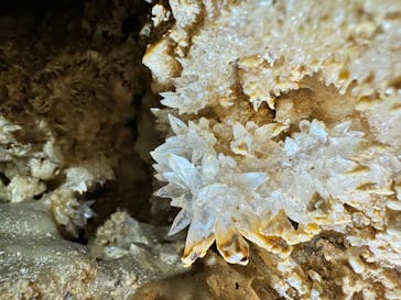 Great Nature Okinoerabuに投稿された画像（2024/5/12）