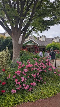 横浜イングリッシュガーデンに投稿された画像（2024/5/12）