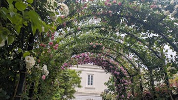 横浜イングリッシュガーデンに投稿された画像（2024/5/12）