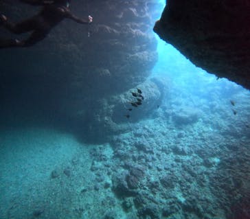 沖縄マリンサービス碧に投稿された画像（2024/5/12）