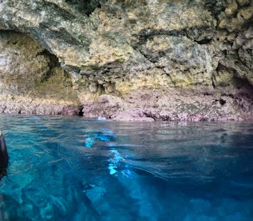 沖縄マリンサービス碧に投稿された画像（2024/5/12）