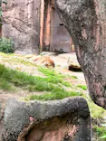天王寺動物園に投稿された画像（2024/5/12）