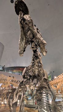 福井県立恐竜博物館に投稿された画像（2024/5/12）