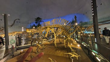 福井県立恐竜博物館に投稿された画像（2024/5/12）