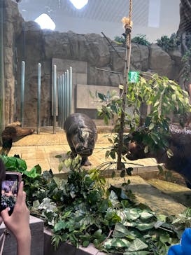 NIFREL（ニフレル）に投稿された画像（2024/5/12）