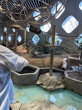 NIFREL（ニフレル）に投稿された画像（2024/5/12）