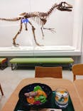 福井県立恐竜博物館に投稿された画像（2024/5/12）