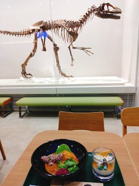 福井県立恐竜博物館に投稿された画像（2024/5/12）