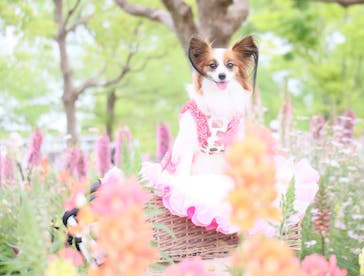 浜名湖花博2024に投稿された画像（2024/5/12）