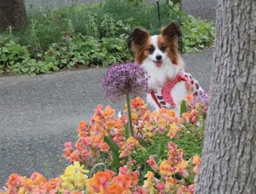 浜名湖花博2024に投稿された画像（2024/5/12）
