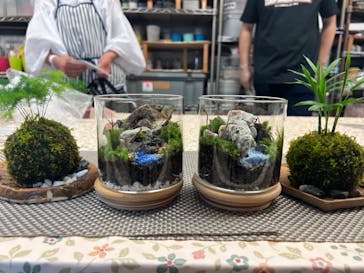 カルチャースクールいろはに投稿された画像（2024/5/12）