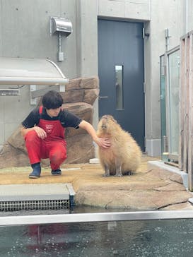 AQUARIUM × ART　atoaに投稿された画像（2024/5/12）