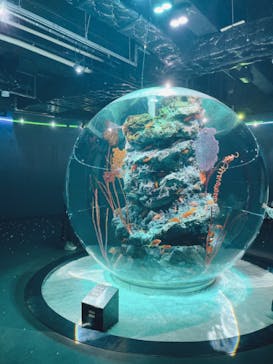 AQUARIUM × ART　atoaに投稿された画像（2024/5/12）