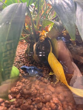 AQUARIUM × ART　atoaに投稿された画像（2024/5/12）