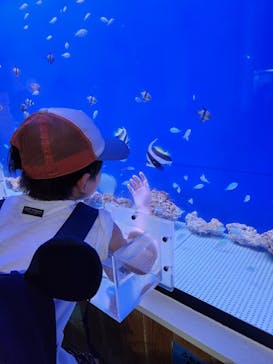 浜名湖体験学習施設ウォットに投稿された画像（2024/5/12）