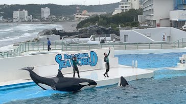 鴨川シーワールドに投稿された画像（2024/5/12）