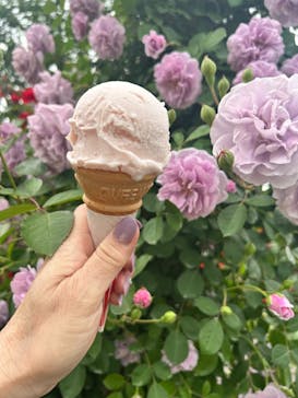 京成バラ園に投稿された画像（2024/5/12）