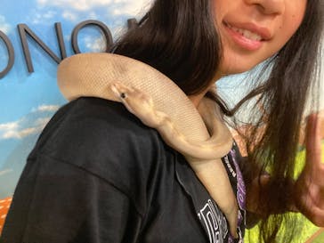 NARA IKIMONO MUSEUMに投稿された画像（2024/5/12）