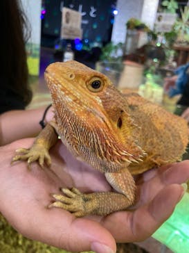 NARA IKIMONO MUSEUMに投稿された画像（2024/5/12）