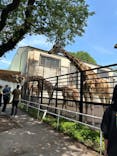 宇都宮動物園に投稿された画像（2024/5/12）