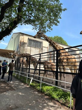 宇都宮動物園に投稿された画像（2024/5/12）