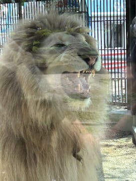 宇都宮動物園に投稿された画像（2024/5/12）