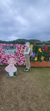 淡路ファームパーク イングランドの丘に投稿された画像（2024/5/12）