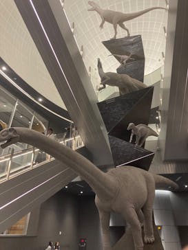 福井県立恐竜博物館に投稿された画像（2024/5/12）