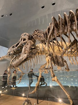 福井県立恐竜博物館に投稿された画像（2024/5/12）