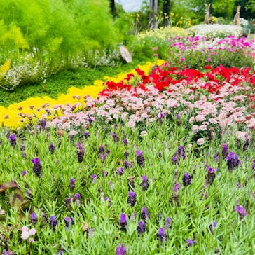 浜名湖花博2024に投稿された画像（2024/5/12）