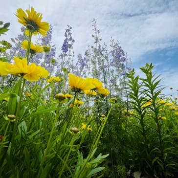 浜名湖花博2024に投稿された画像（2024/5/12）