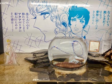 マクセル アクアパーク品川に投稿された画像（2024/5/12）