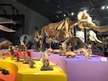 特別展「大哺乳類展３－わけてつなげて大行進」に投稿された画像（2024/5/12）